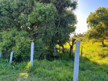 Terreno Frente Lagoa
